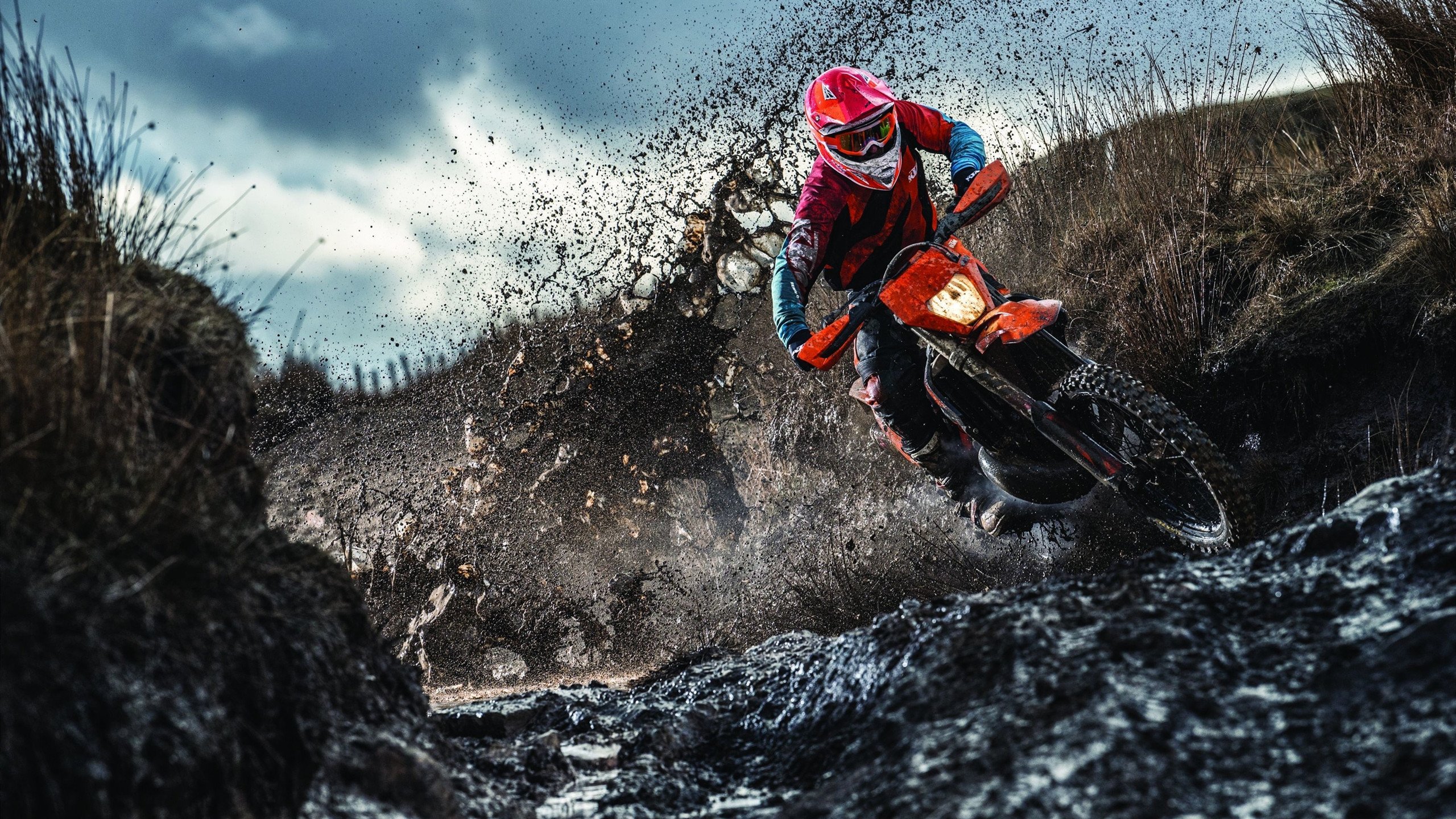 “组装式游泳池”夏日快闪开放 吸引大量儿童学游